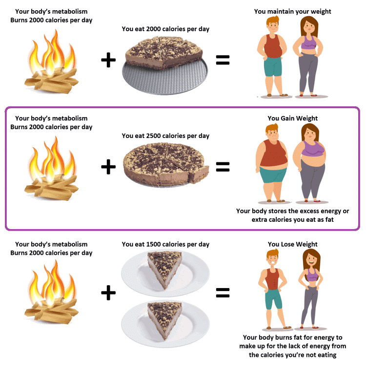 How To Lose Weight By Not Eating How To Lose Weight By Not Eating