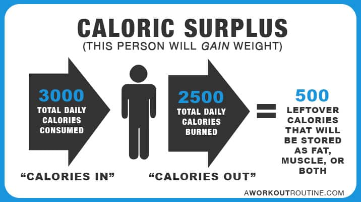 How To Lose Weight Calories