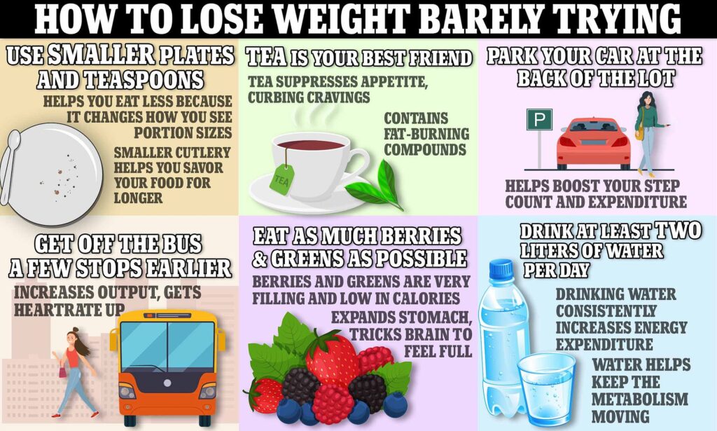 How To Lose Weight Consistently