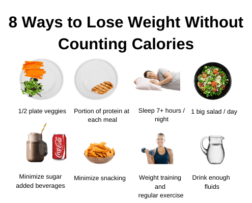 How To Lose Weight Counting Calories