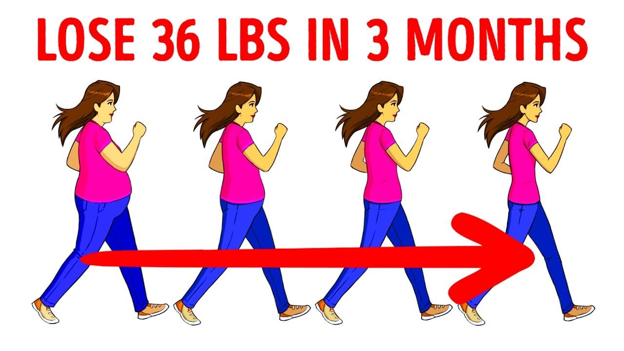 Best Way To Lose Weight By Walking