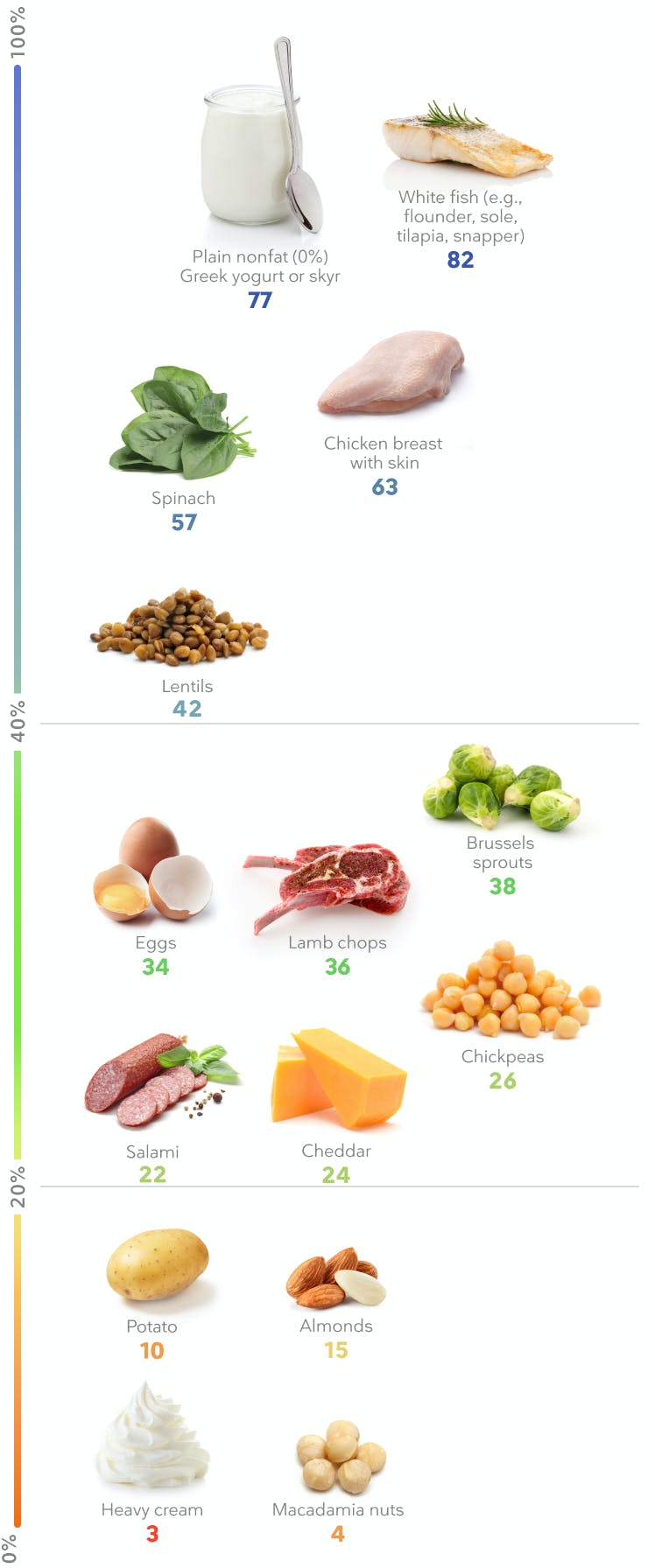 Lose Weight Eating Protein