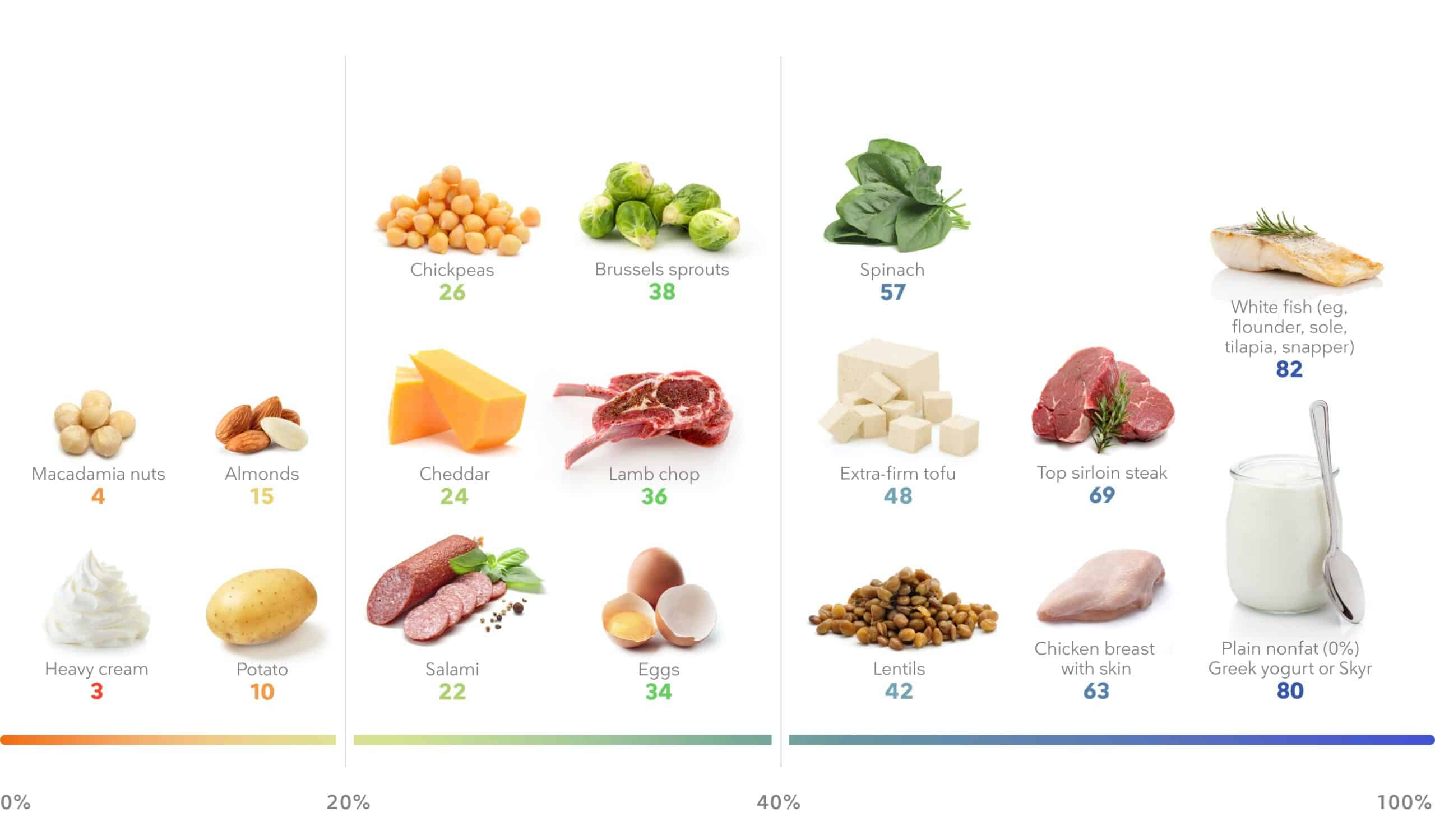Lose Weight Eating Protein