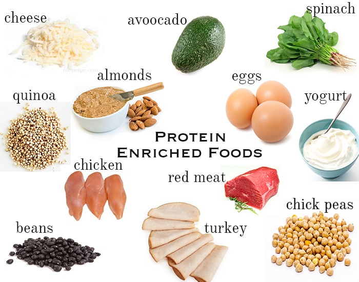 Lose Weight Eating Protein