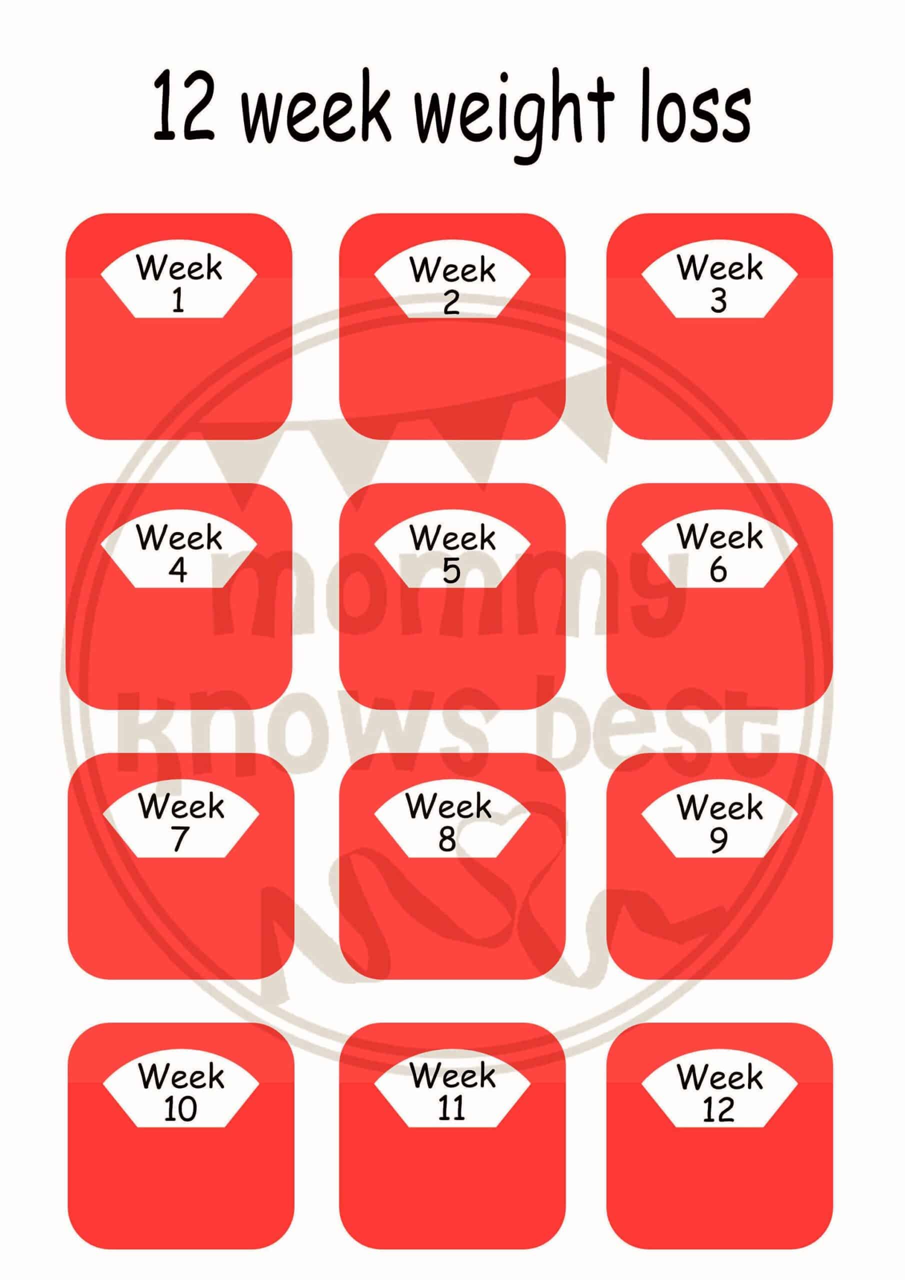 12 Week Weight Loss Chart