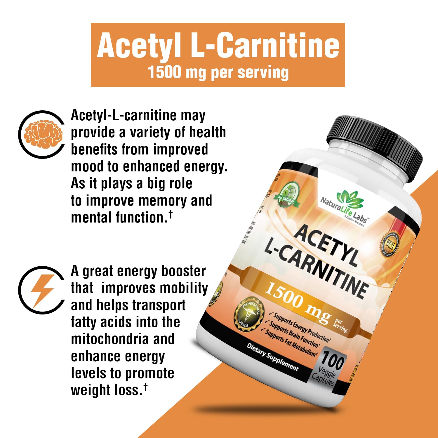 Acetyl L Carnitine Weight Loss