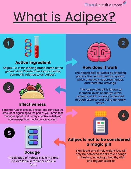 Adipex Diet Adipex Diet
