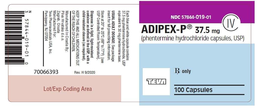 Adipex P Phentermine
