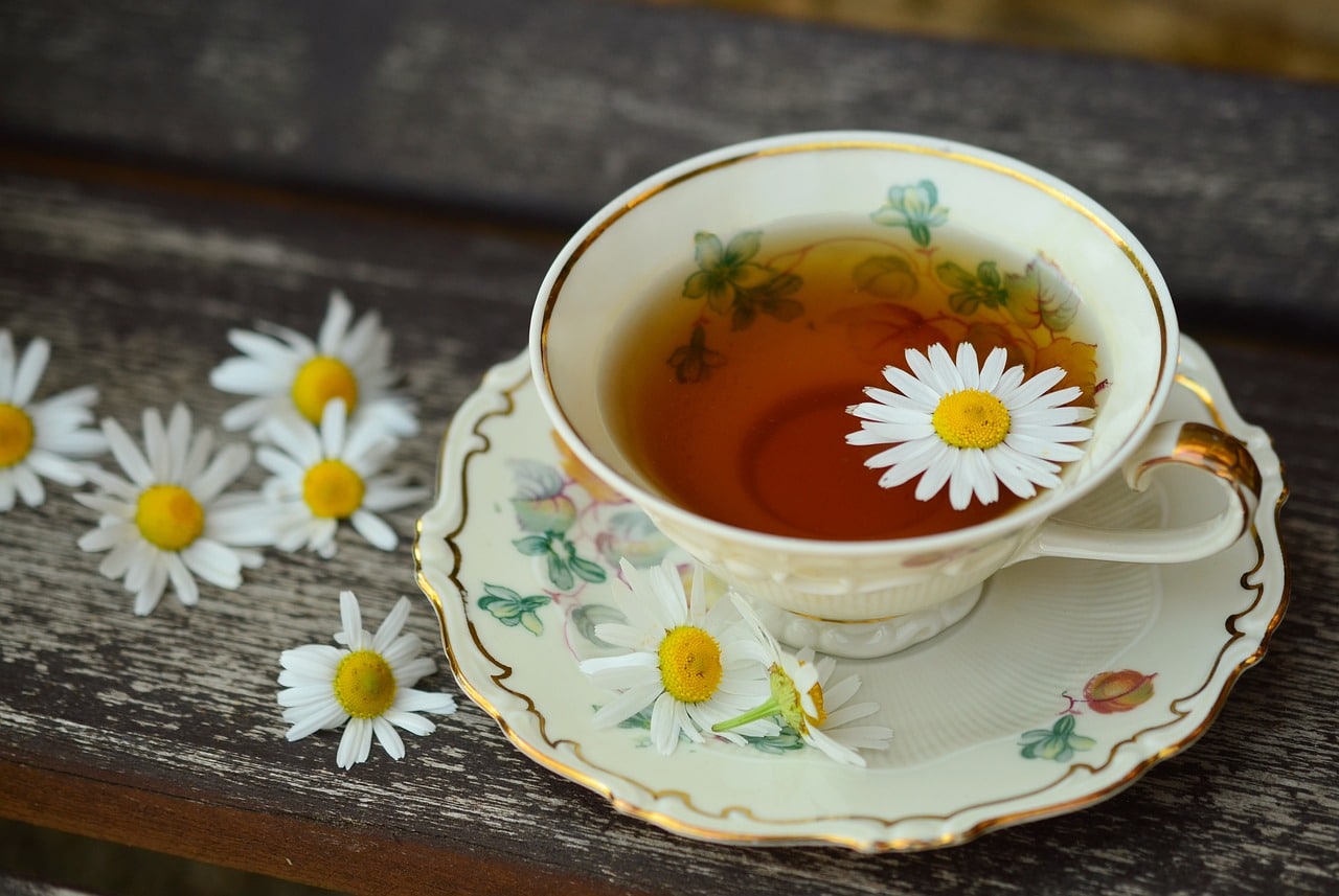 The Best Time to Drink Green Tea for Weight Loss