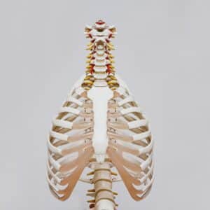 Photo Body mass index