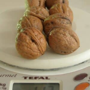 Photo "The Role of Manganese in Rapid Weight Loss"